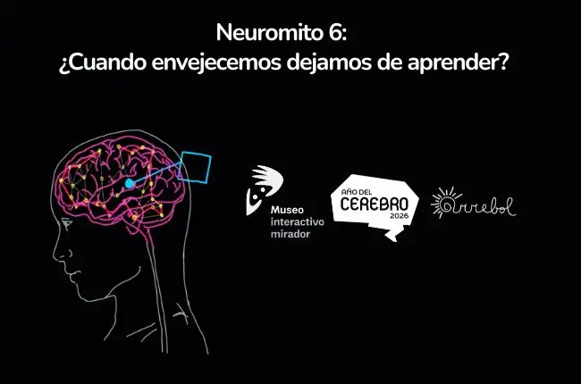 Neuromitos #6: ¿Cuando envejecemos dejamos de aprender?