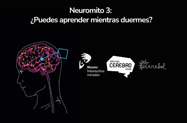 Neuromitos #3: ¿Puedes aprender mientras duermes?