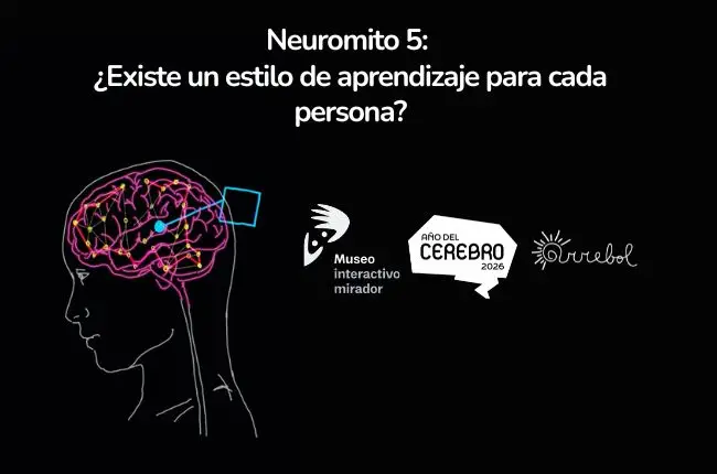 Neuromitos #5: ¿Existe un estilo de aprendizaje para cada persona?