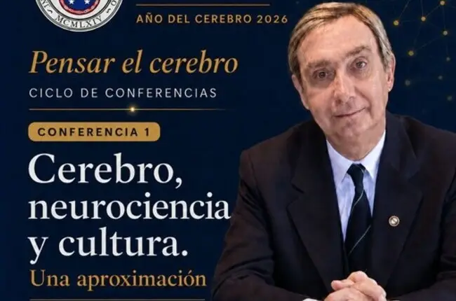 Cerebro, neurociencia y cultura. Una aproximación