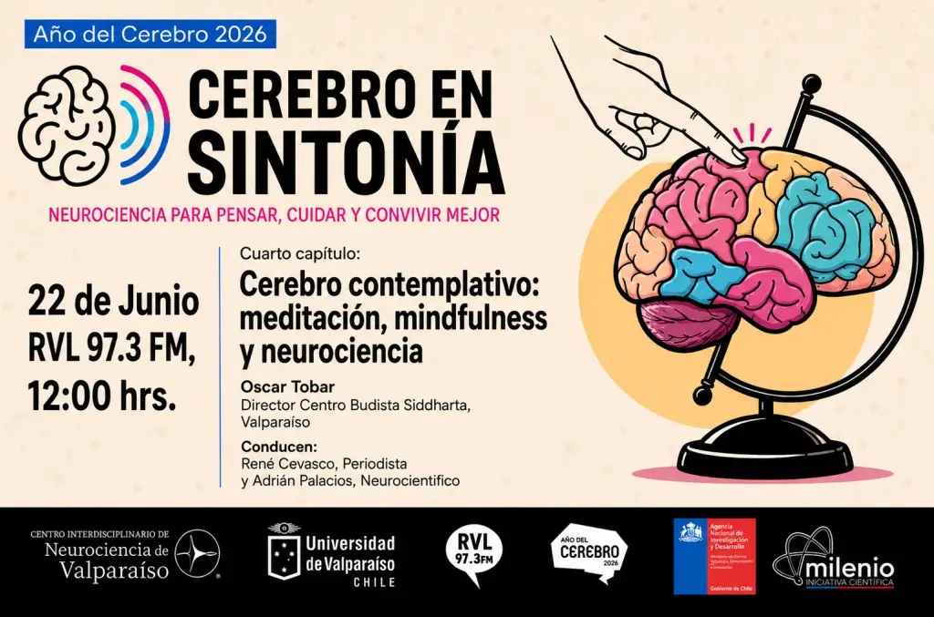 Cerebro en Sintonía Cap.4: Cerebro contemplativo y mindfulness