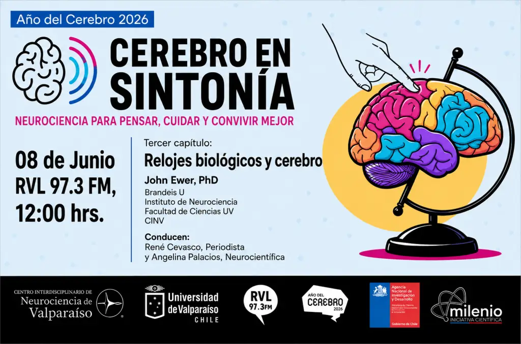 Cerebro en Sintonía Cap.3: Relojes biológicos y cerebro