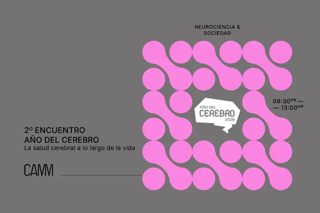 La salud cerebral a lo largo de la vida