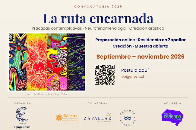 La ruta encarnada: un viaje a la experiencia consciente
