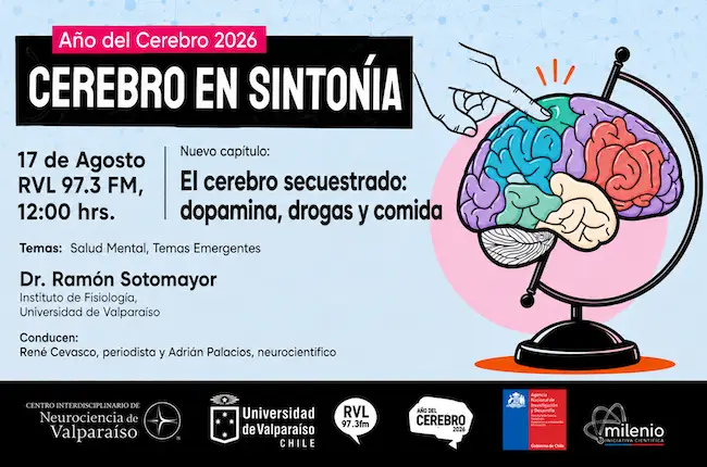 Cerebro en Sintonía Cap. 7: El cerebro secuestrado: dopamina, drogas y comida
