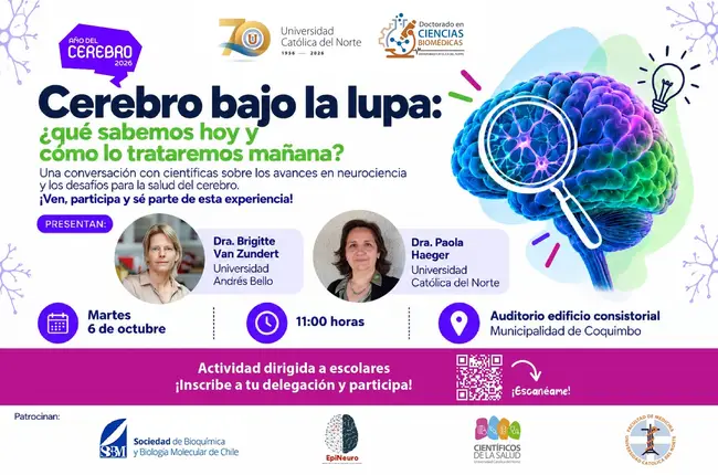 “Cerebro bajo la lupa: ¿qué sabemos hoy y cómo lo trataremos mañana”