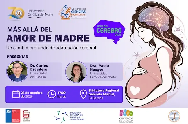 Más allá del amor de madre, un cambio profundo de adaptación cerebral